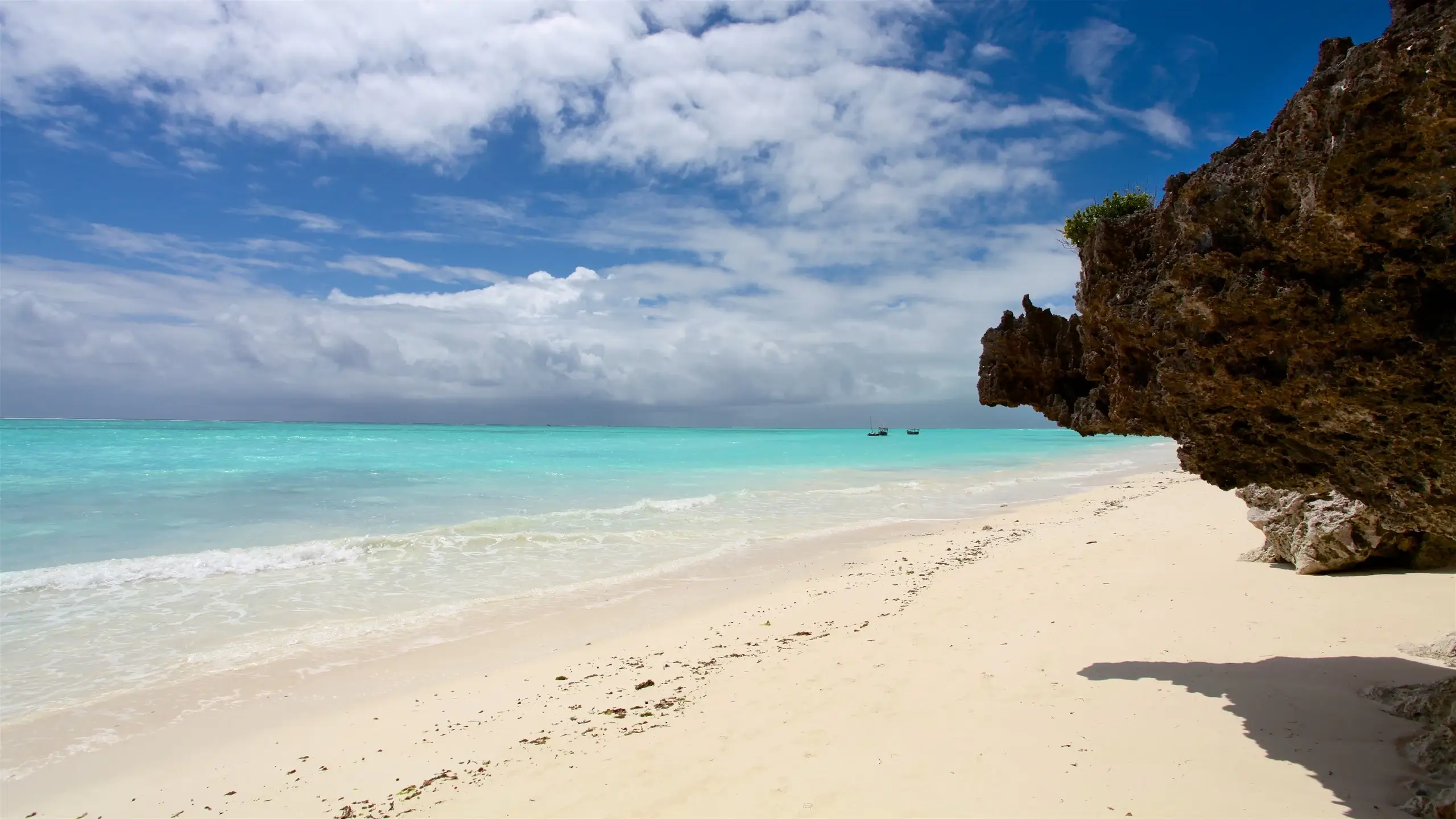 Snorkeling Zanzibar